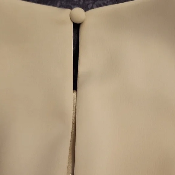 Prologue Elegant Cream Midi Dress - Picture 5 of 7